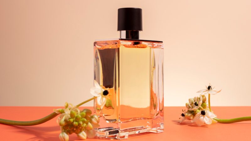 Lanvin Perfume