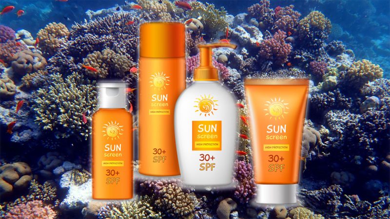 Reef Safe Sunscreen UK