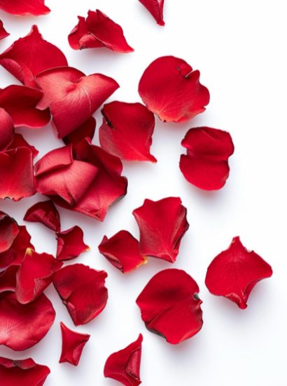 Rose Petals