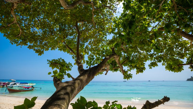 Puerto Viejo Costa Rica