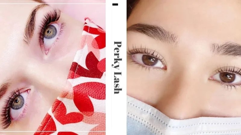 Perky Lash Reviews
