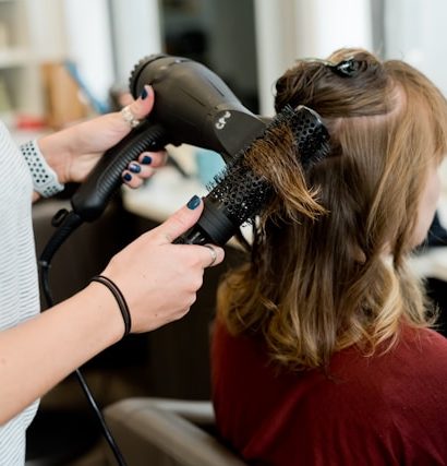 Hair Salon Hair Dryer