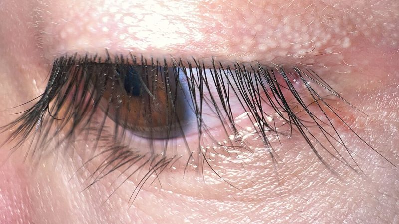 what are eyelashes made of